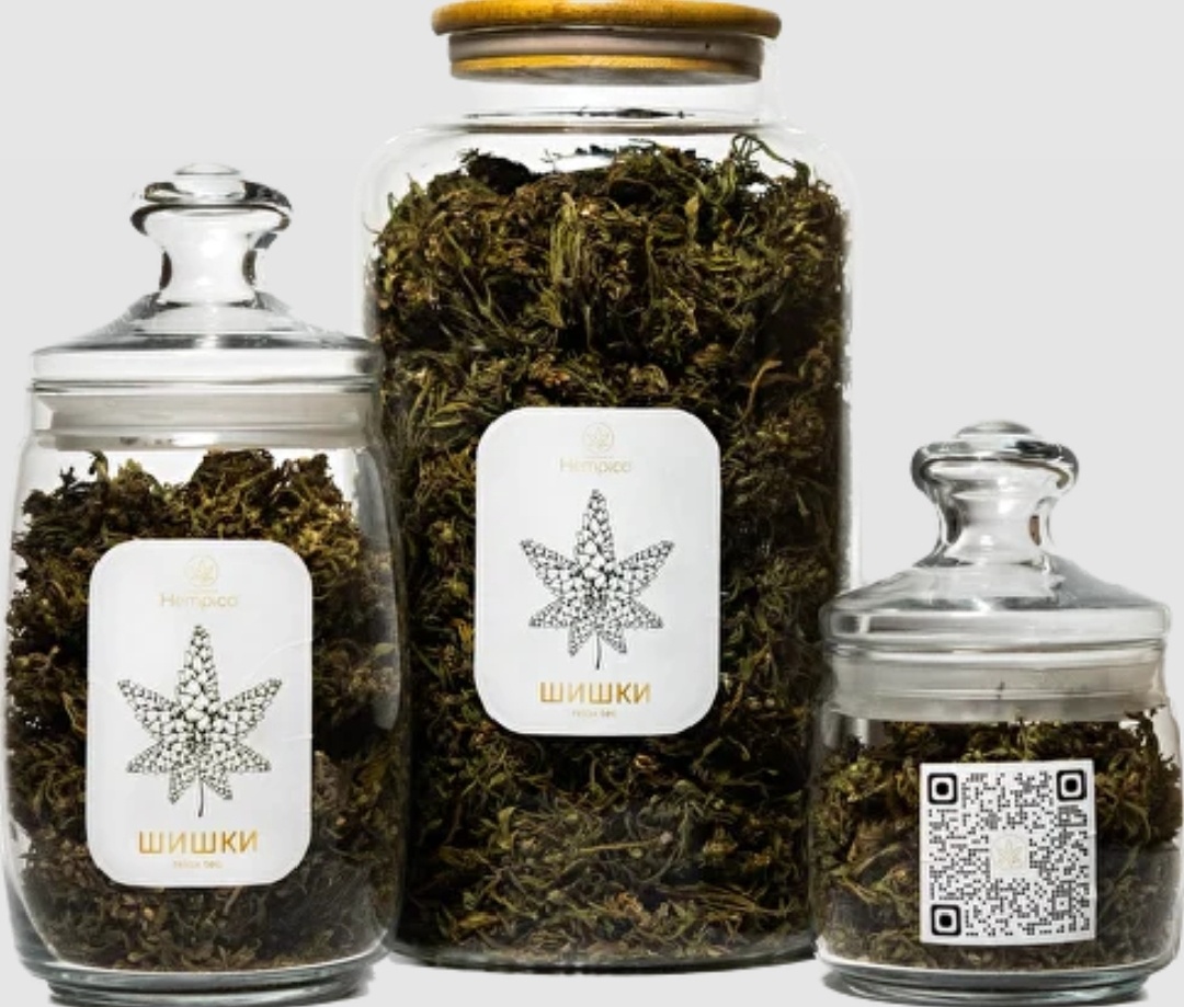 "Шишки" конопляные, CBD 