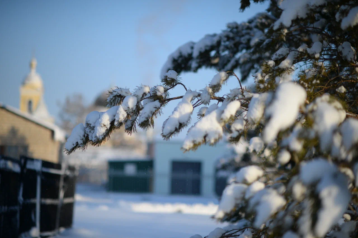 Фото: Олег Рукавицын/Царьград