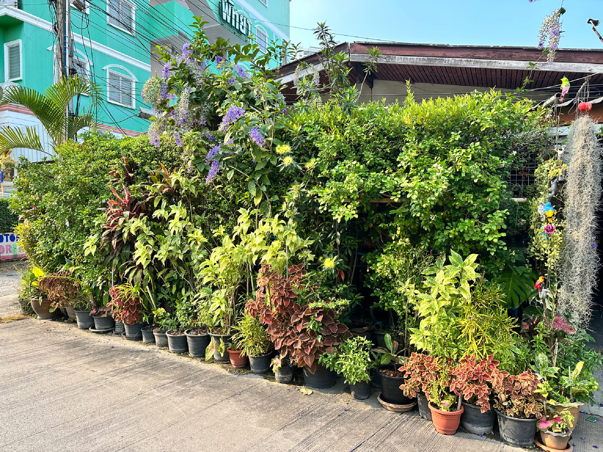 По улицам Паттайи идём пешком.