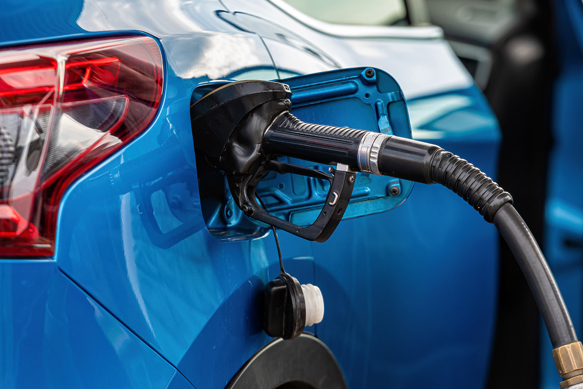    Фото: ako photography / Shutterstock.com