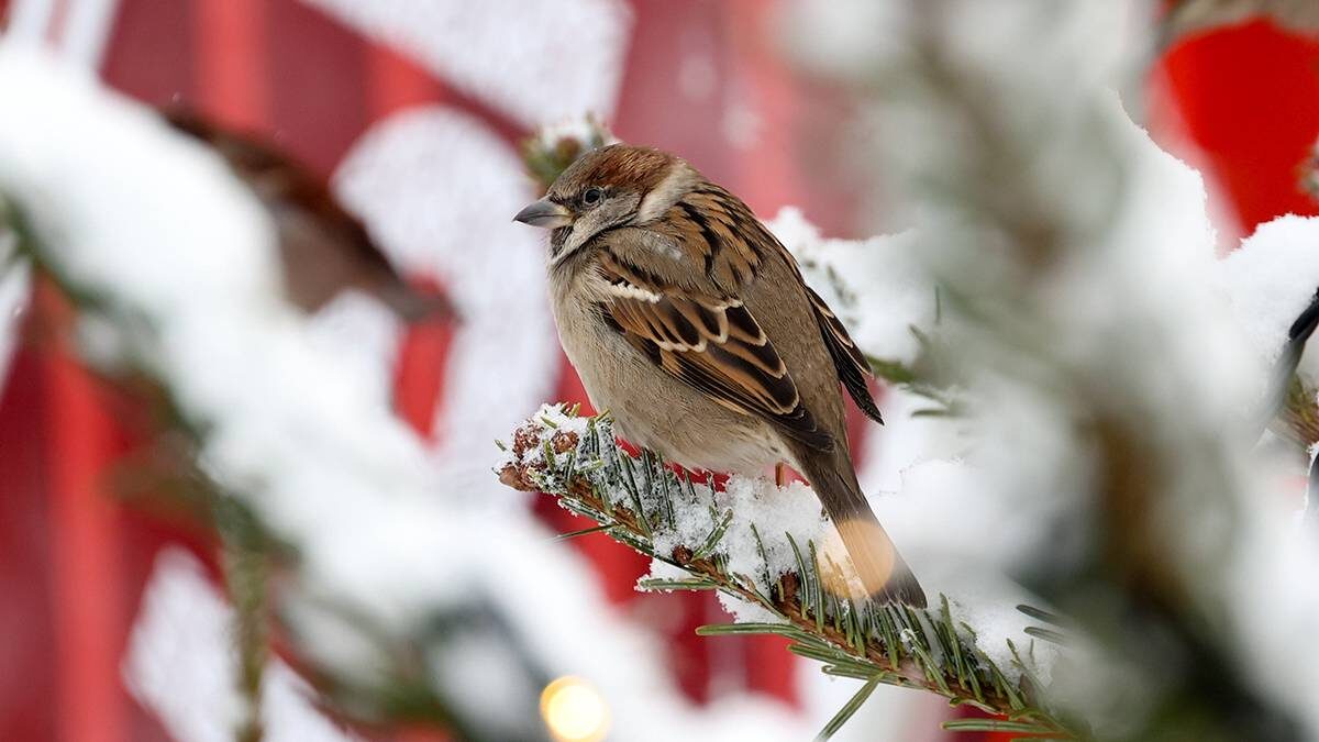    Фото: Ярослав Чингаев / АГН Москва