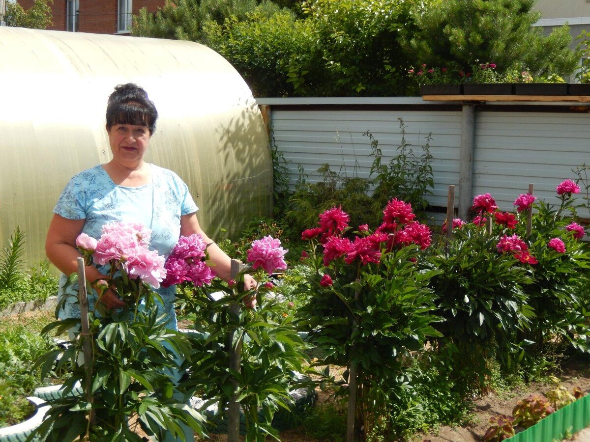 фото авторам