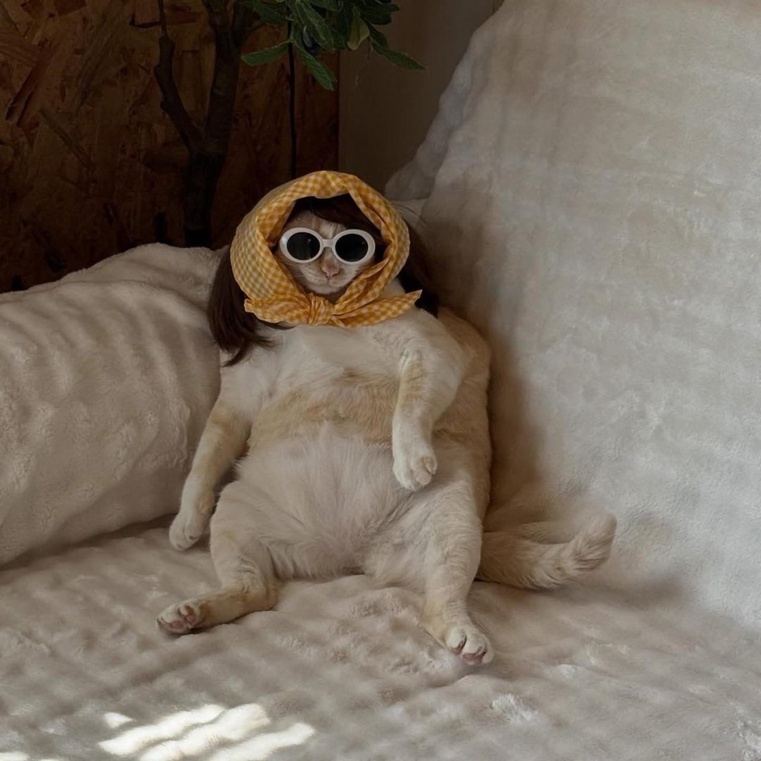 Источник: redd.it