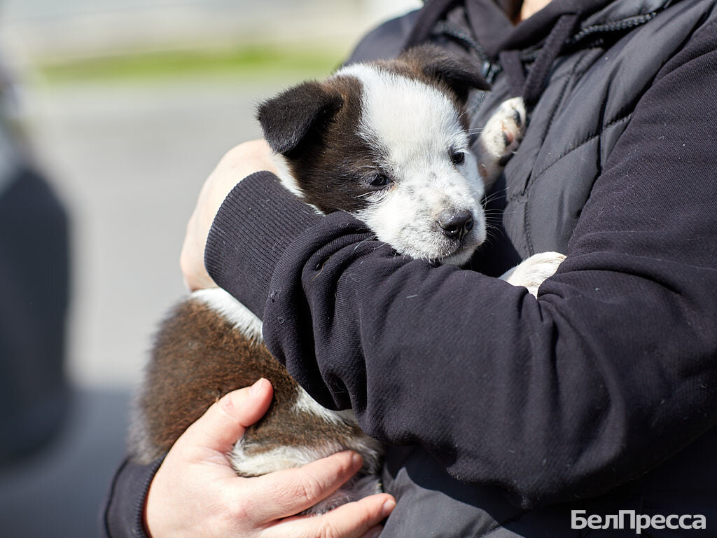     Фото: Елена Журавлёва (архив)