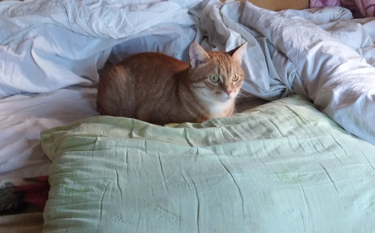 личное фото