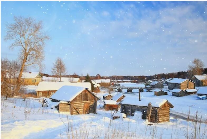 Сговор или недосмотр