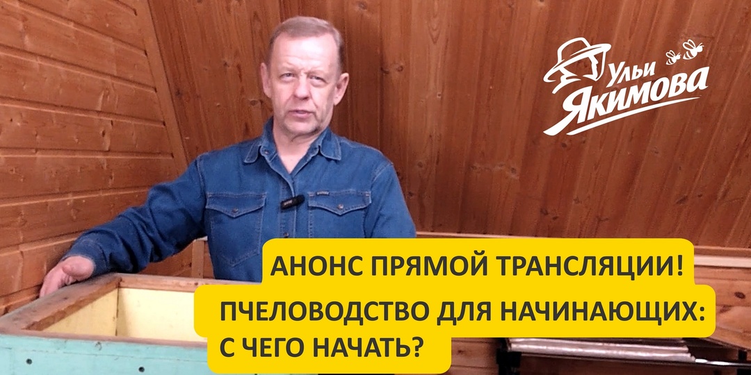 Анонс прямой трансляции «Пчеловодство для начинающих: с чего начать?» от Школы Разумного Пчеловода