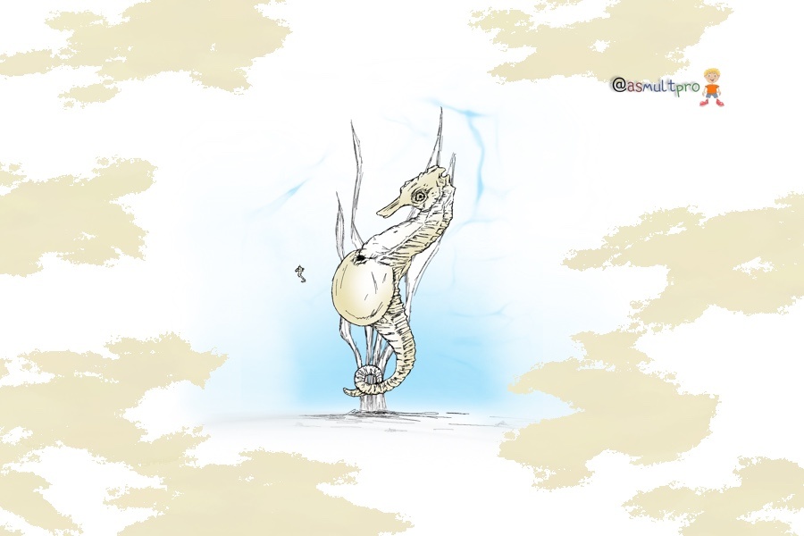 Обучающие истории от @asmultpro