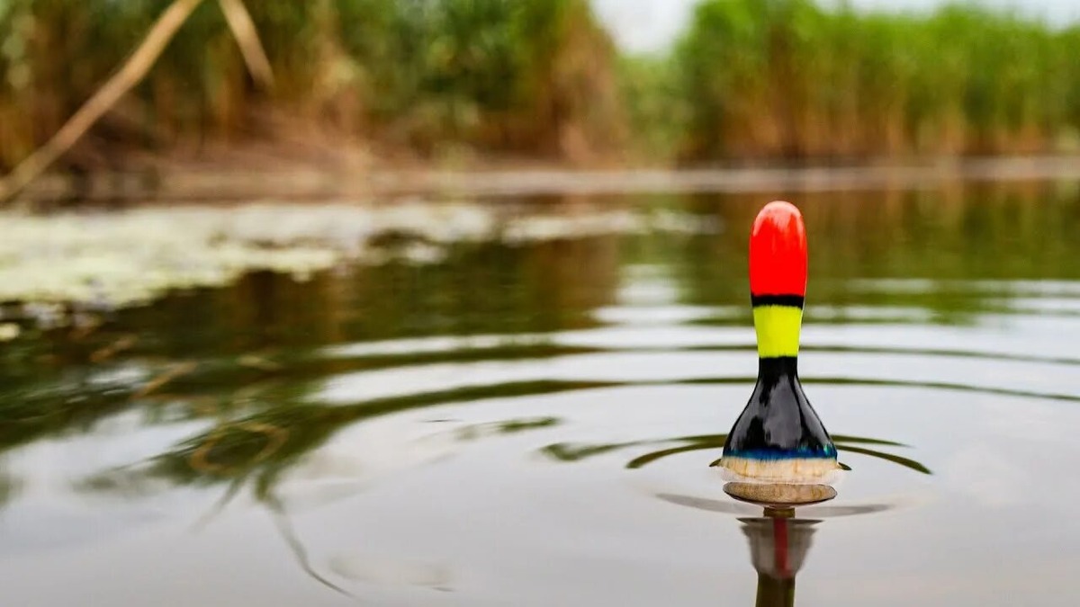 Чувствительный поплавок.