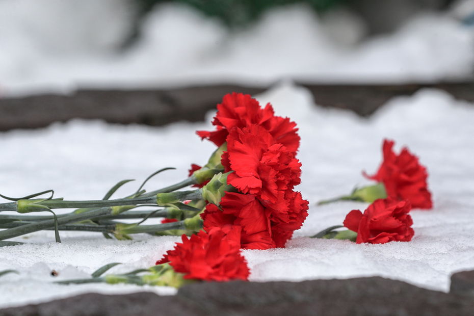    Сергей Булкин/NEWS.ru