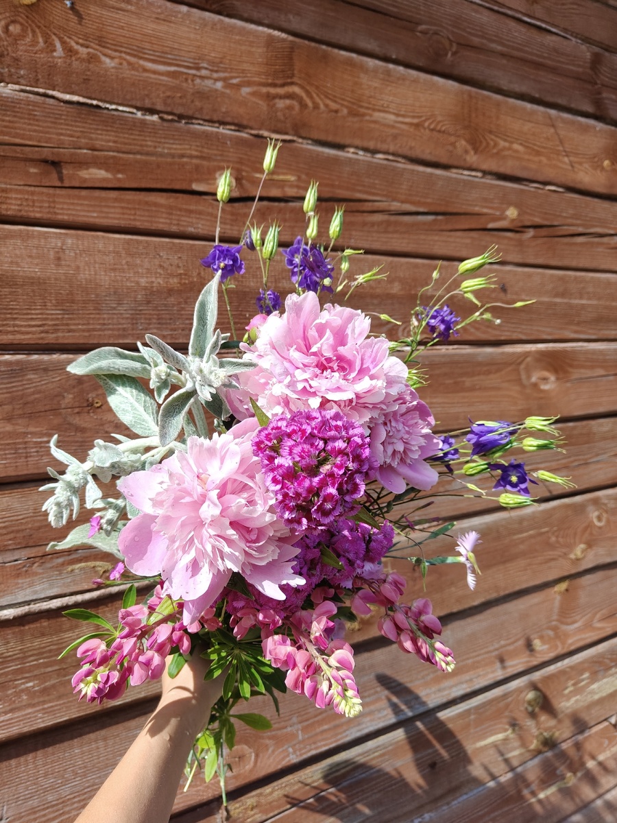 После дождя