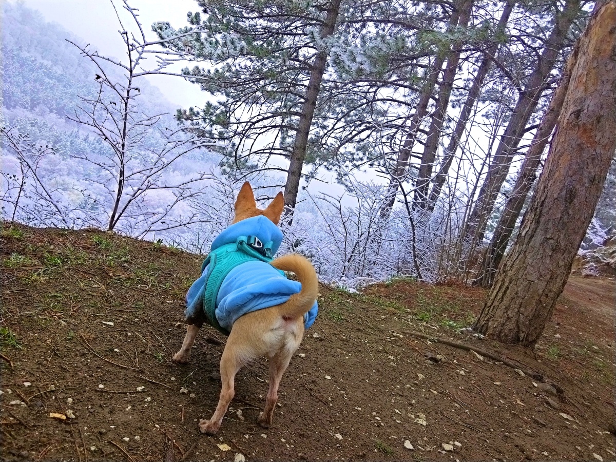 Кисловодск