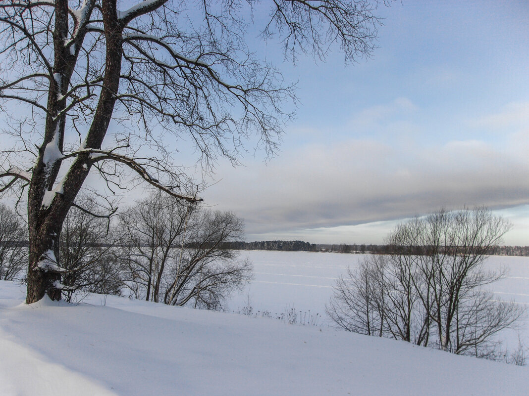 ЯНВАРСКАЯ СКАЗКА