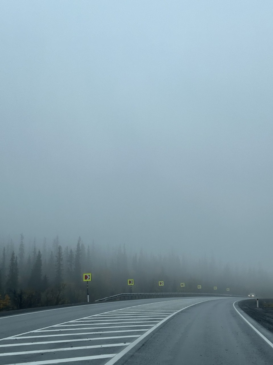 всю дорогу нас спровождал туман 