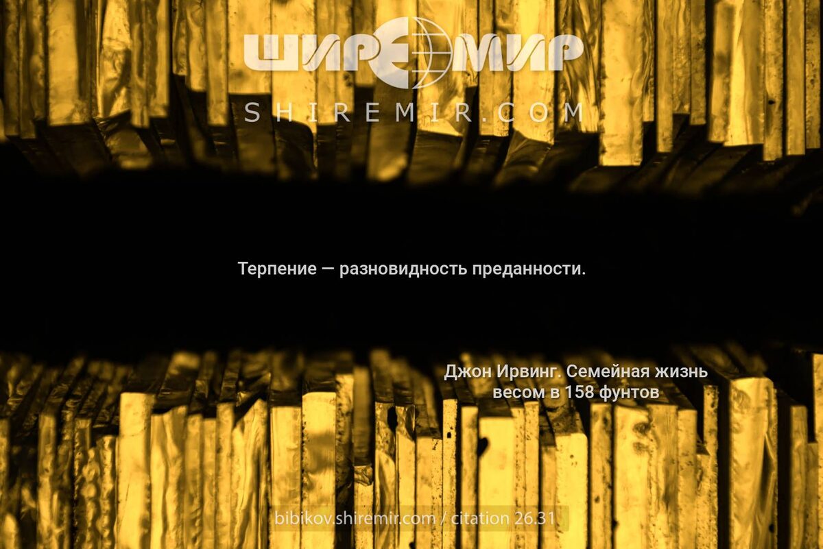 Цитата про терпение и преданность. Джон Ирвинг