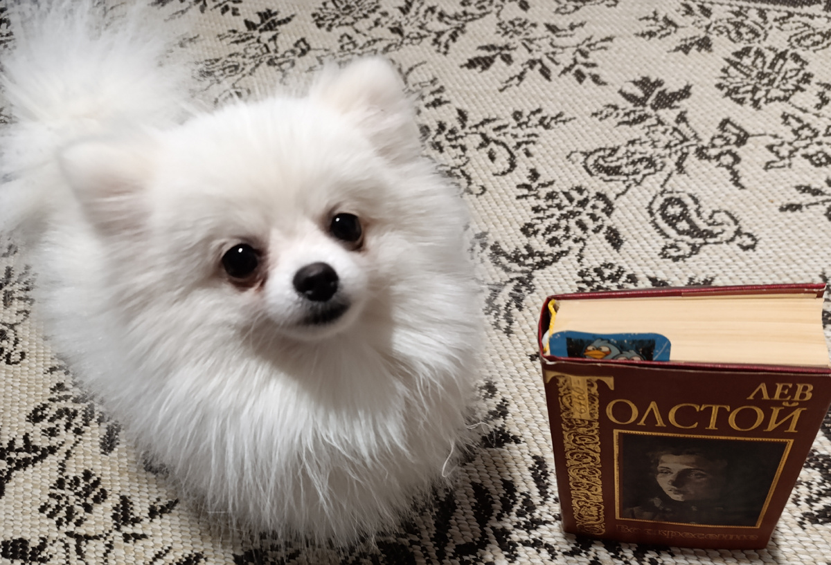 Книгу из школьной библиотеки, изданную к столетнему юбилею романа, представляет Бэлла. 