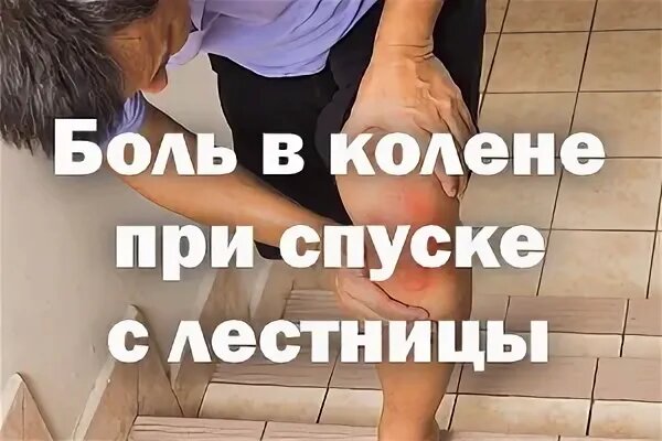 Изображение взято из открытого источника