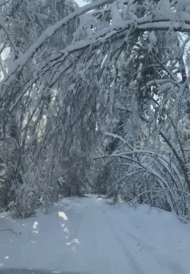 Так выглядит дорога от посёлка Горки до Деулино Клепиковского района