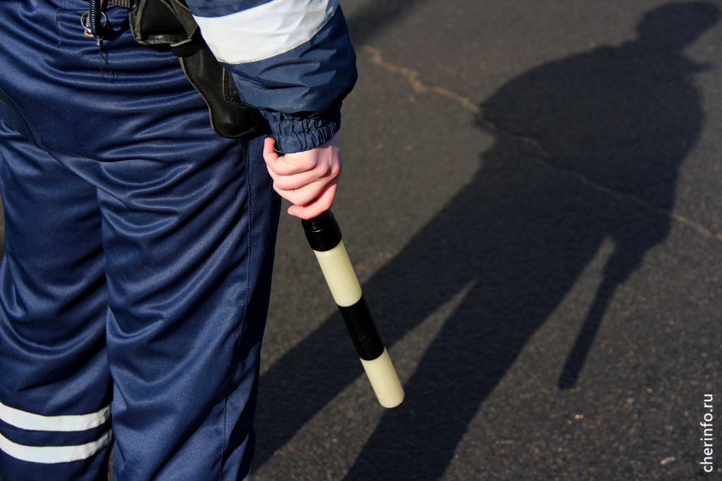    Такие данные приводит региональная Госавтоинспекция.