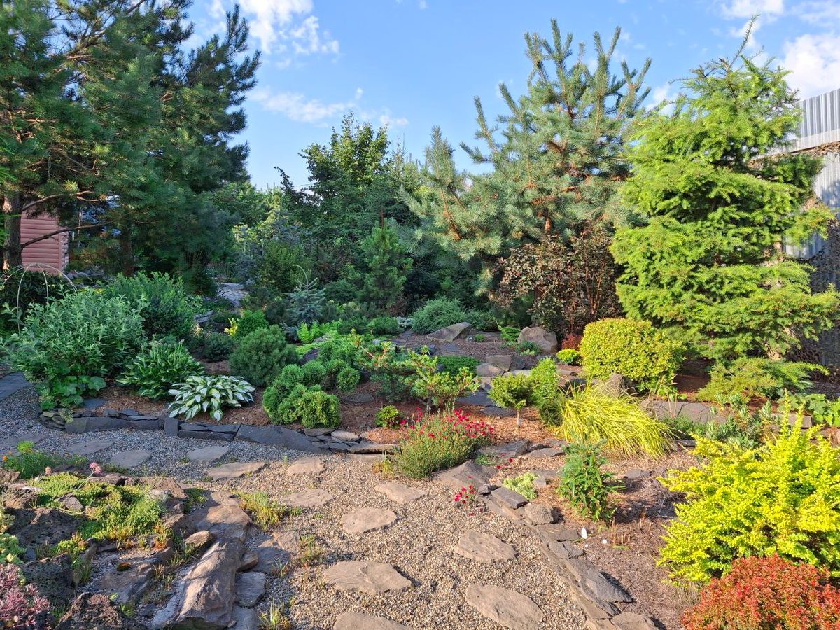 Сад и фото Инги Дембицкой