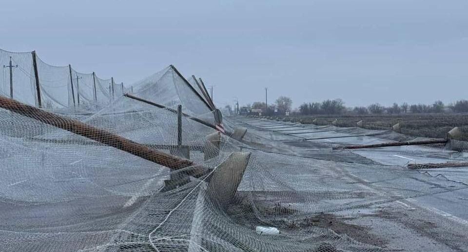    «Политика Страны»