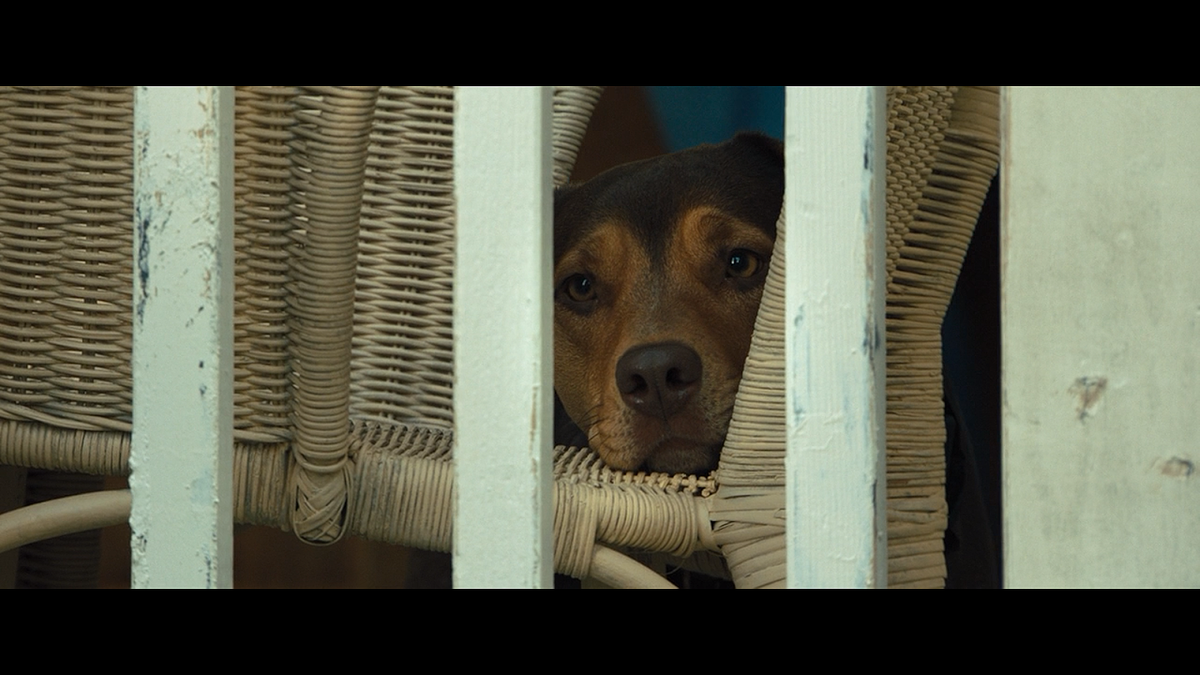 Кадр из фильма Путь домой (2019)