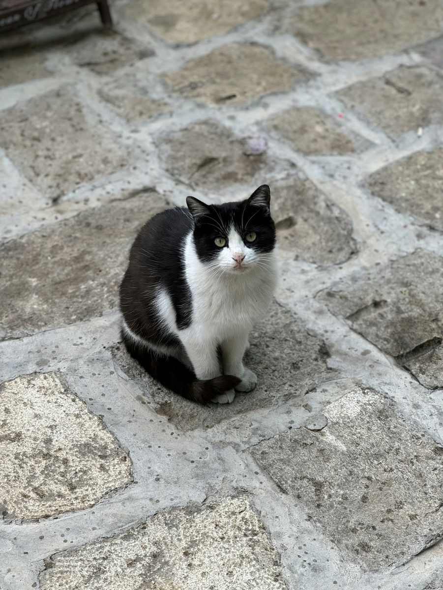    Фото несет иллюстративный характер