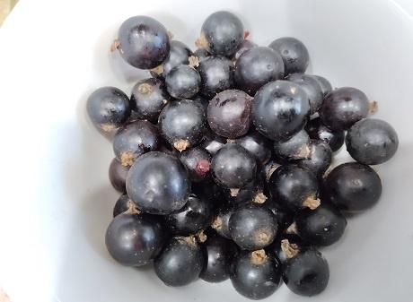 Фотография из личного архива автора