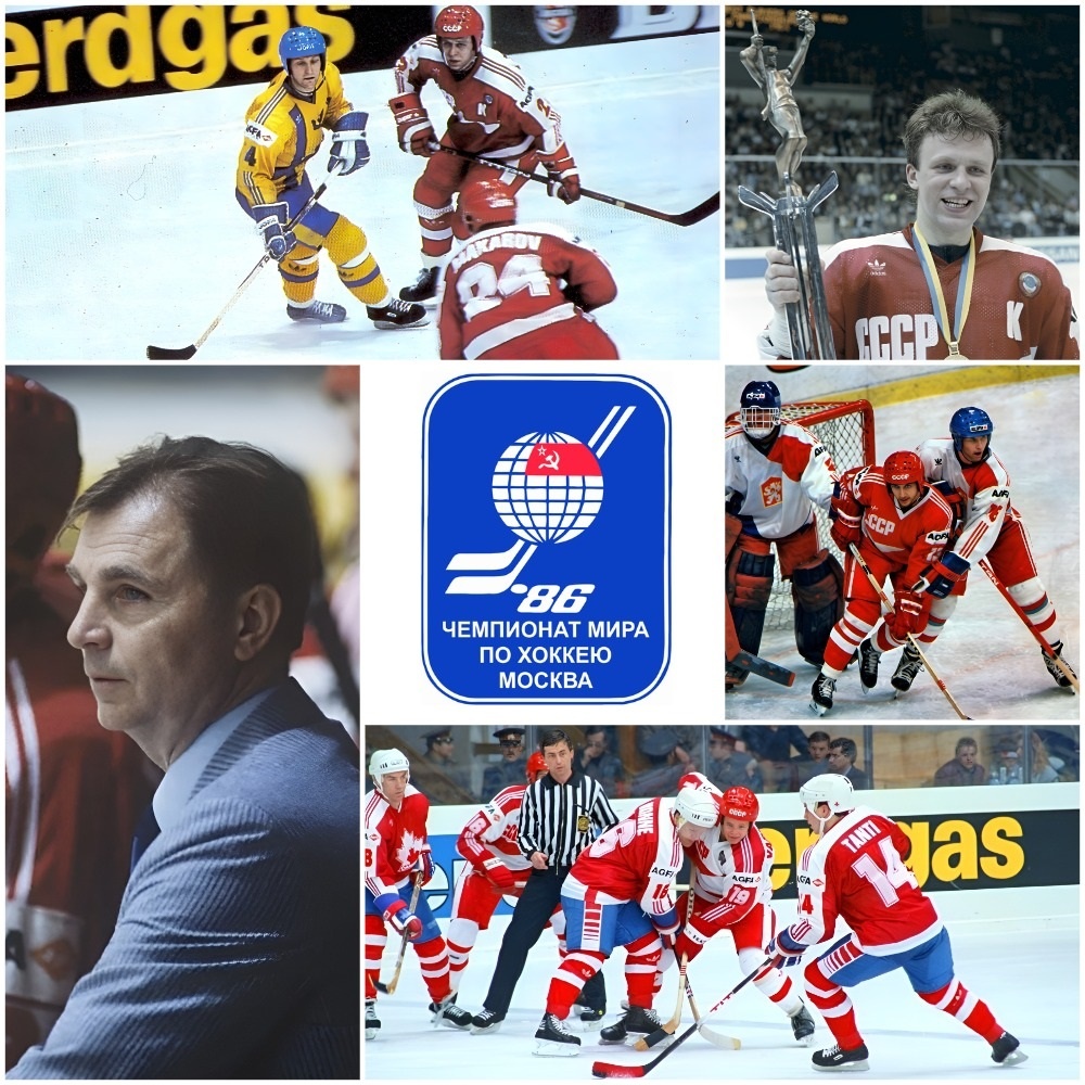 Коллаж автора. Фото взяты из открытого источника Яндекс.Картинки