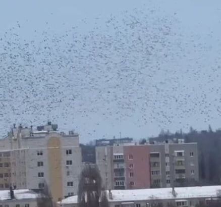     / Источник: © Кадр из видео
