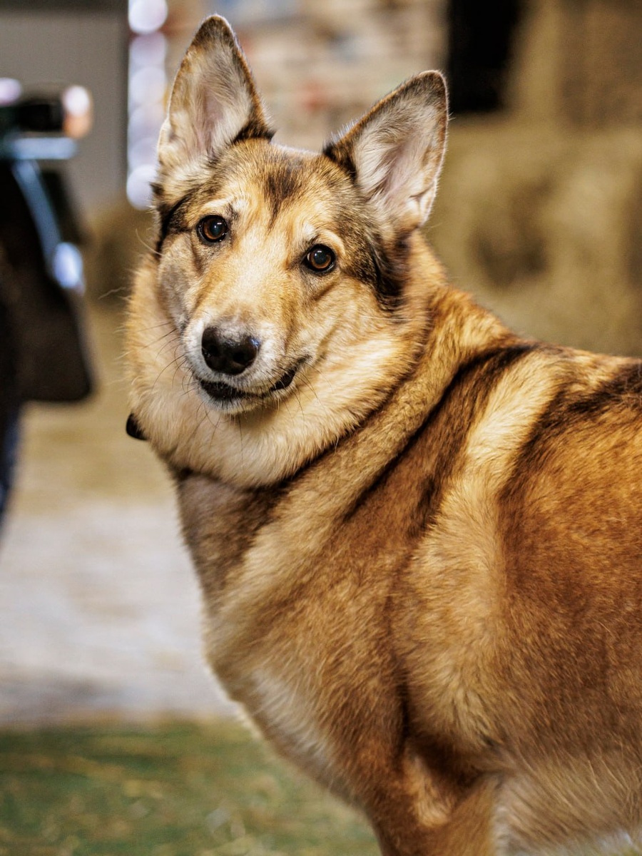 А кто-то подрос))