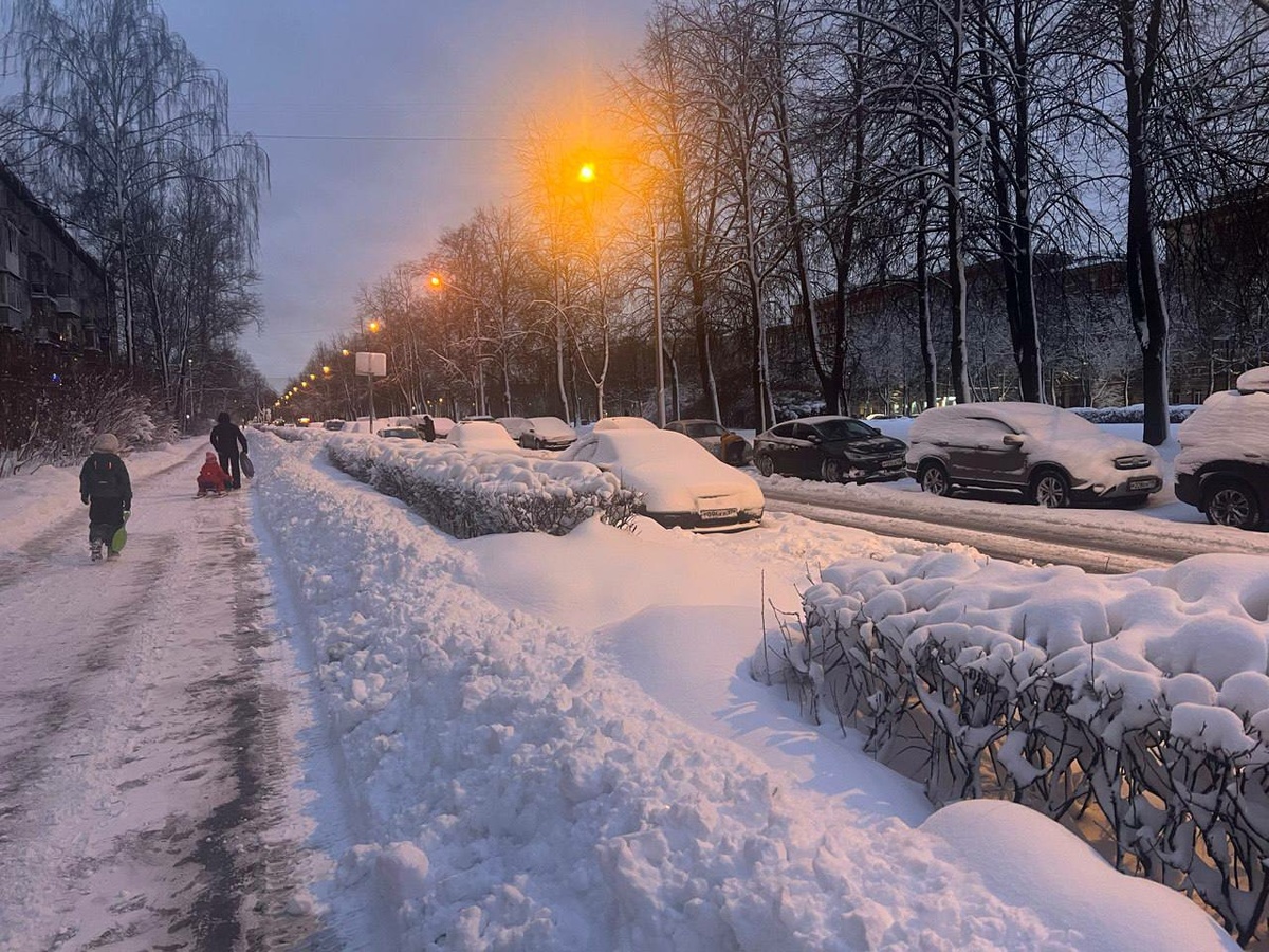 Фото: Neva.Today