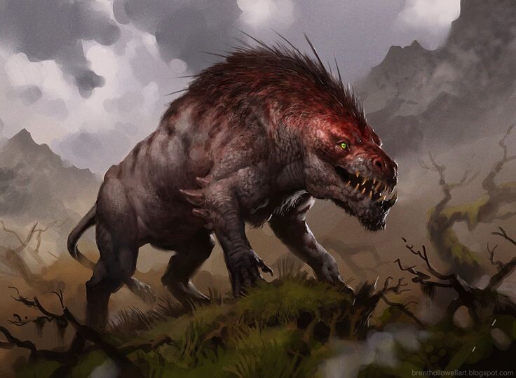 фото из интернета