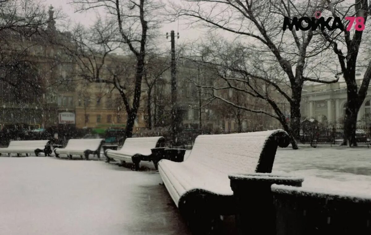    Фото: Мойка78.