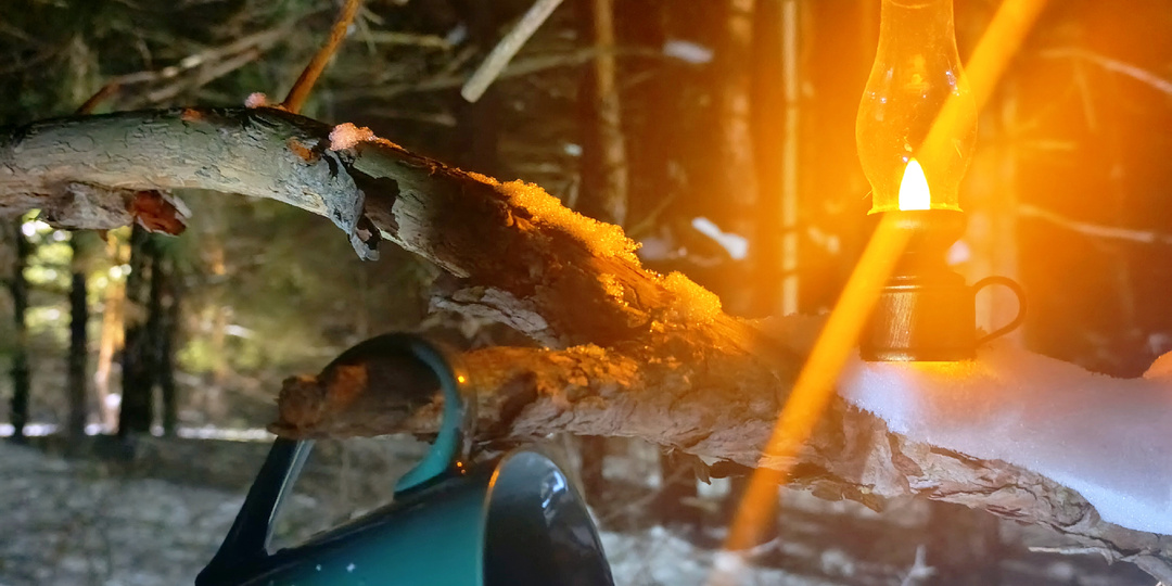 За глотком свежего воздуха в таинственный сосновый бор