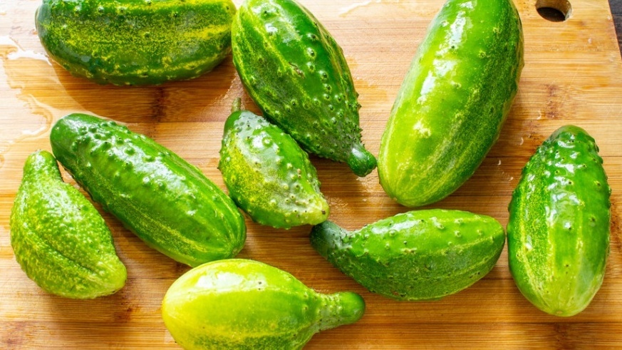 Переросшие огурцы