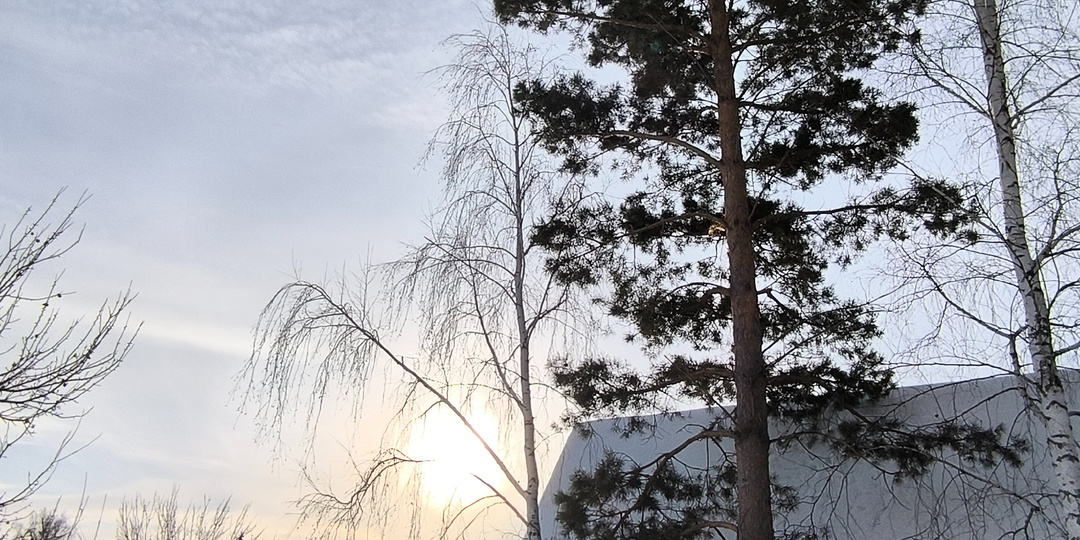 Очередные зимние выходные