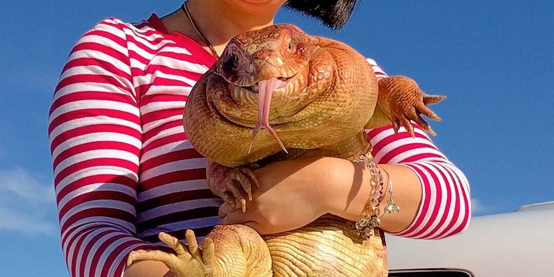 Может ли рептилия ожиреть?