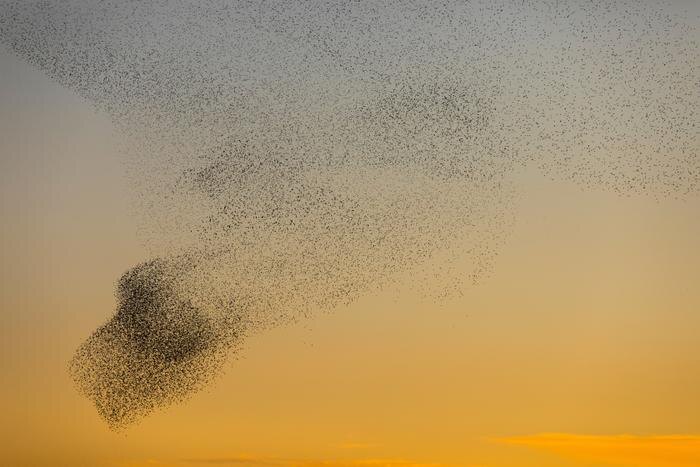 Обложка © Shutterstock / FOTODOM / AlbertoGonzalez