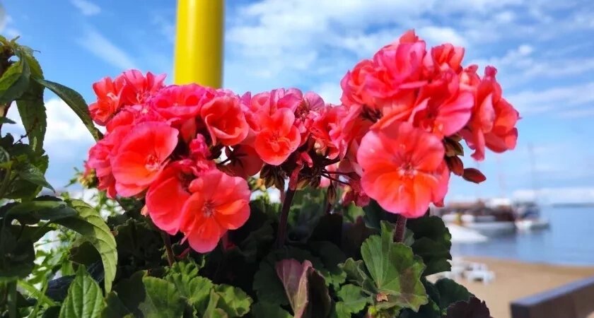    Фото usolie.info