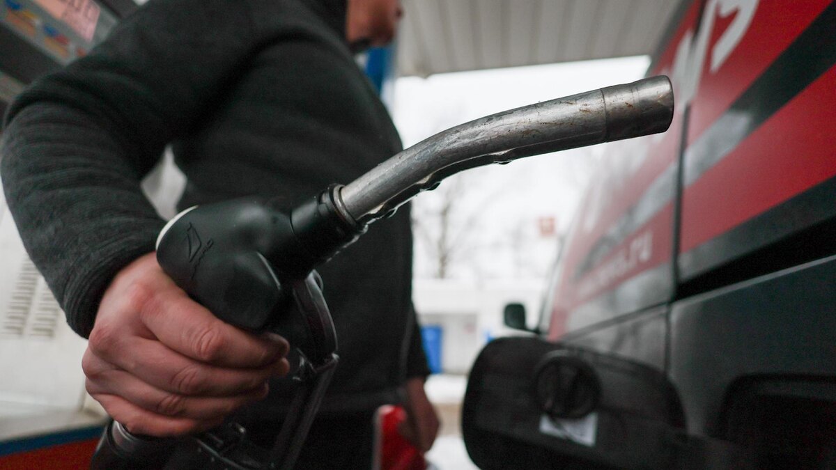 Фото: Belkin Alexey/globallookpress.com