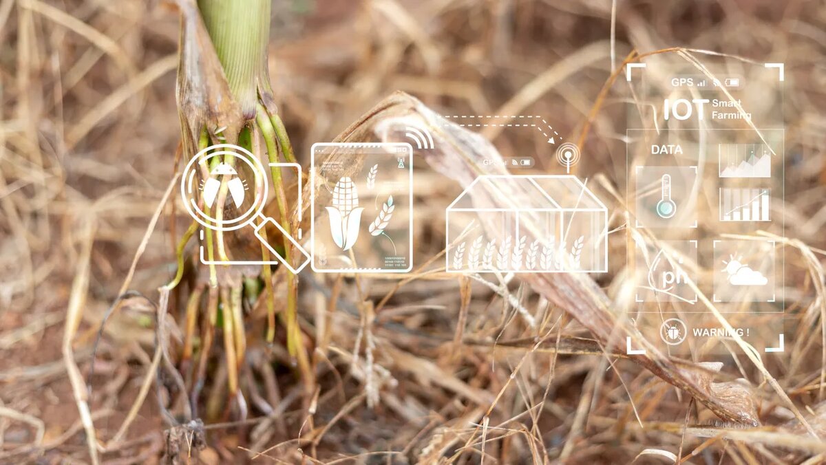    Источник изображения: ItRussia.Media