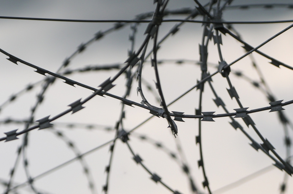    Алексей Белкин/NEWS.ru