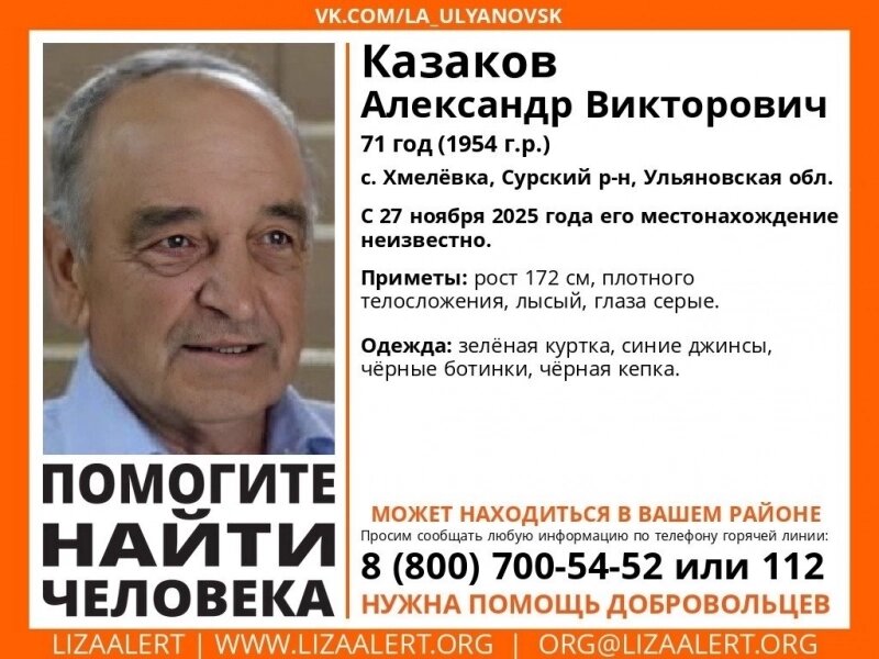    Фото: "Лиза Алерт" Ульяновск