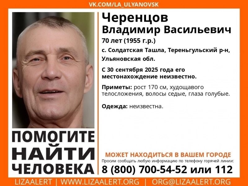    Фото: "Лиза Алерт" Ульяновск