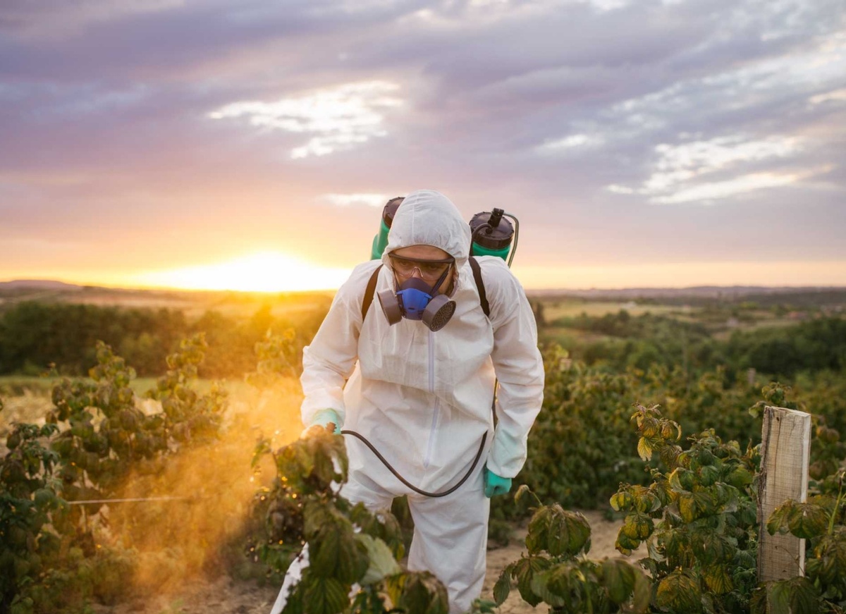 Пестициды как второй по значимости фактор угрозы почвенной жизни и возможности для восстановления экобаланса в условиях России