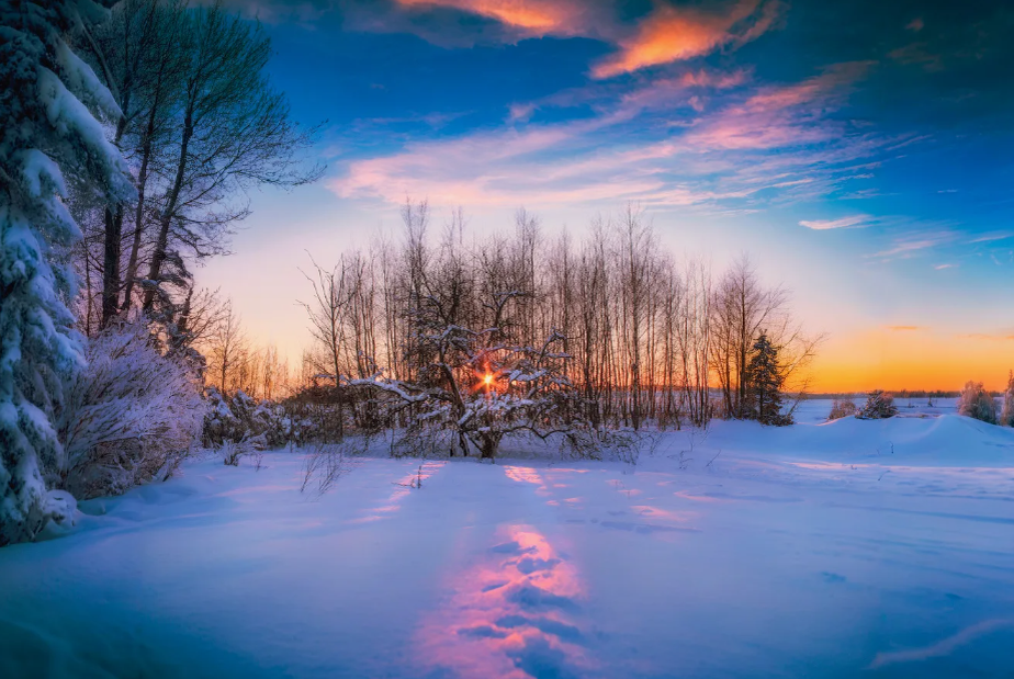 Источник:https://photocentra.ru/work/1159167