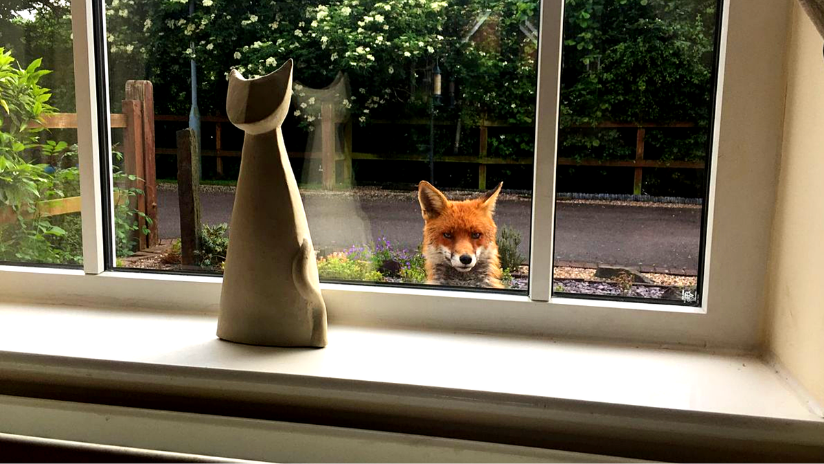 Похоже у вас тут жарится курочка?!