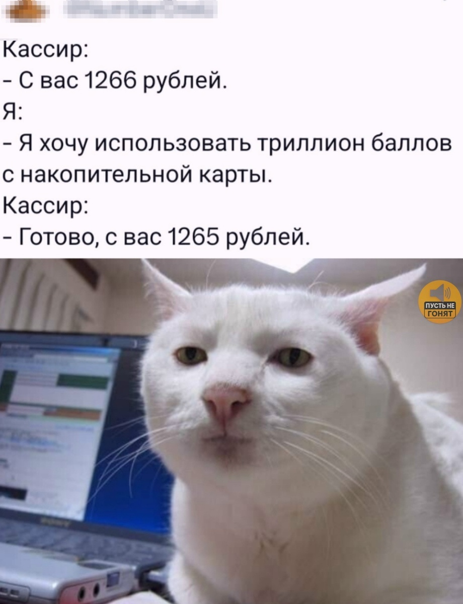 Смех из социальных сетей! Забавные шутки, забавные случаи и веселые рассказы. Фото взято из общедоступных ресурсов соцсетей.