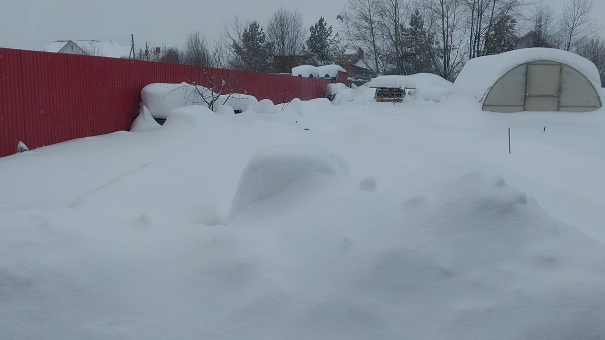 Это задний двор.Намело по пояс.